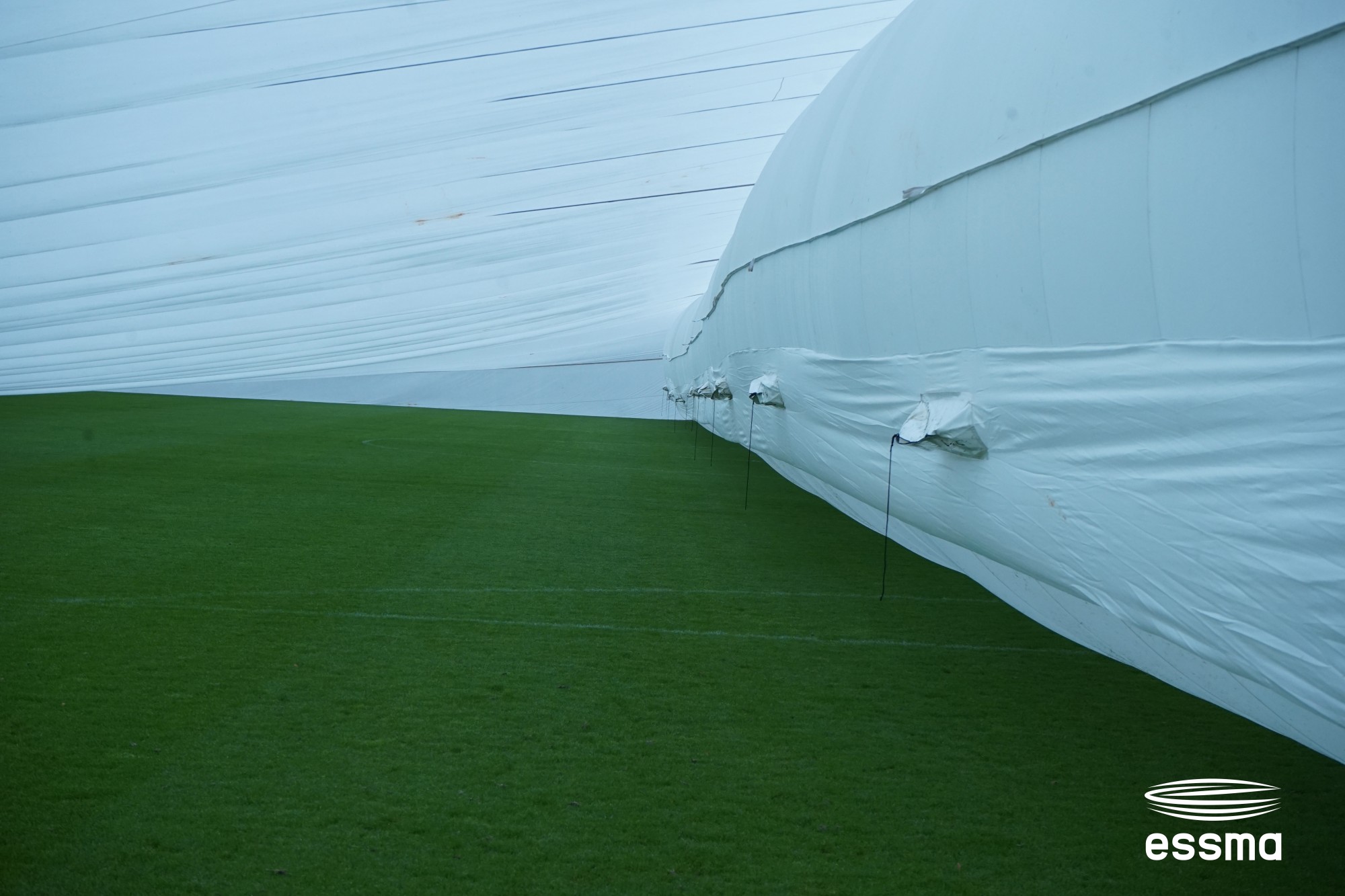 Livestream and highlights of e-workshop on pitch management