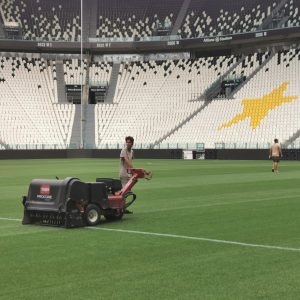How grass choice affects turf quality and sustainability