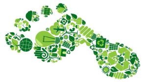 European GOALS project launched to create tools on sustainability