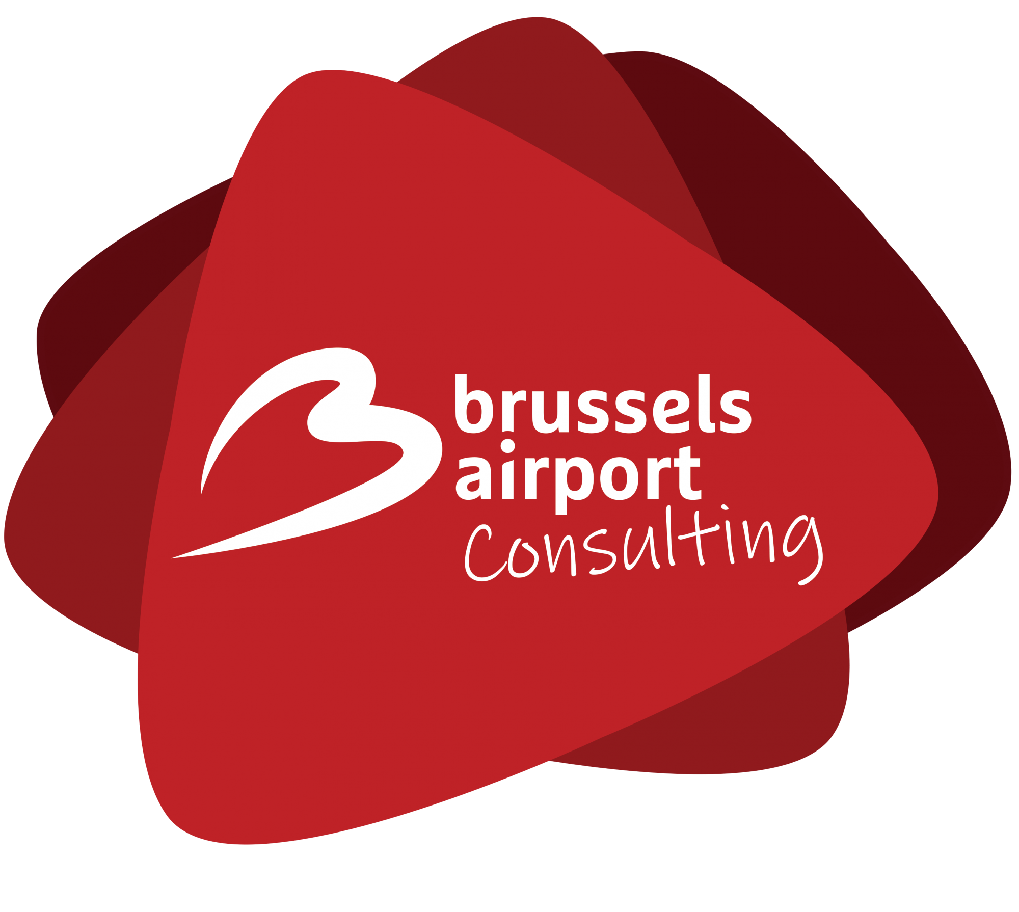 Brussels Airport Consulting